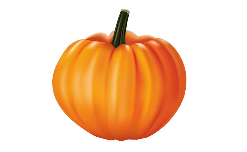 mesh pumpkin vector adobe illustrator photo-realistic