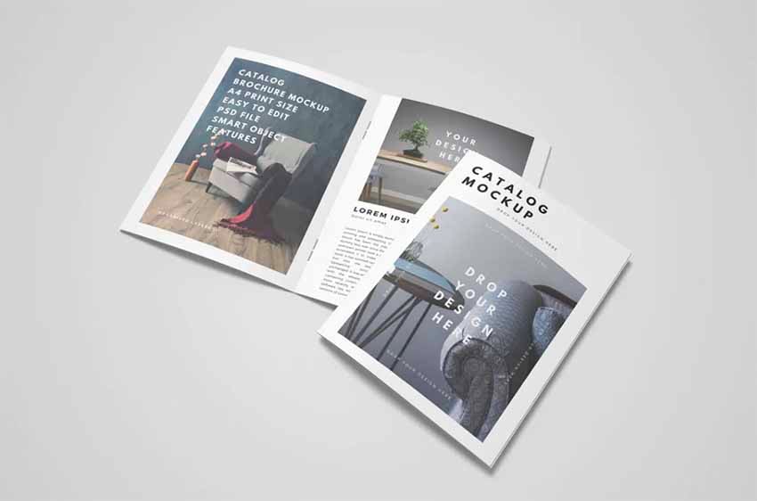 Catalog Booklet Mock Up