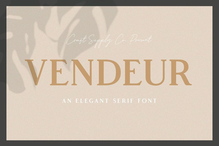 Vendeur Transitional Fonts