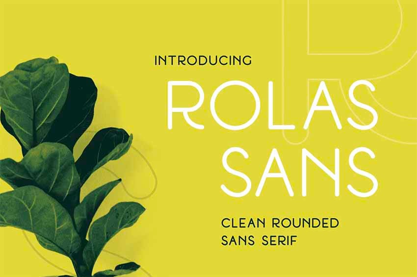 Clean Sans Serif Fonts