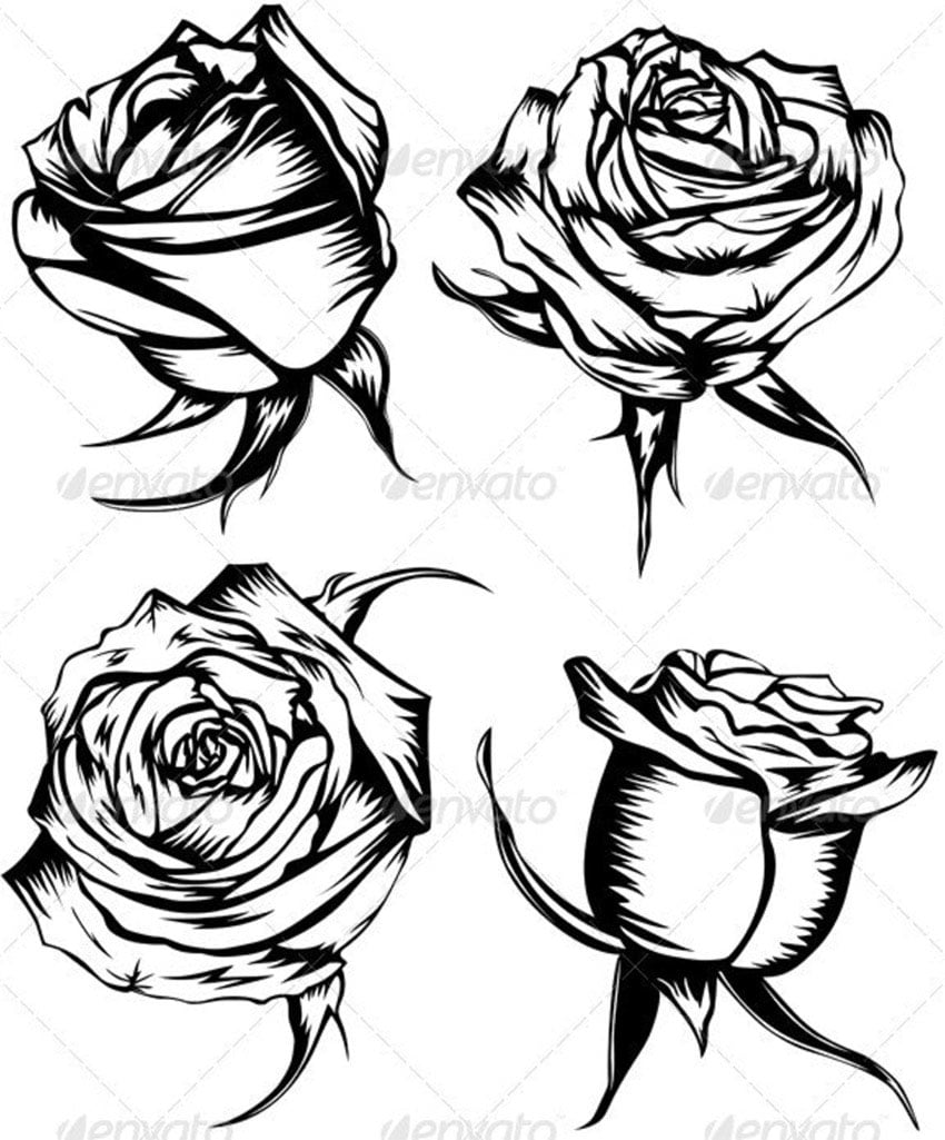 Four Black and White Roses