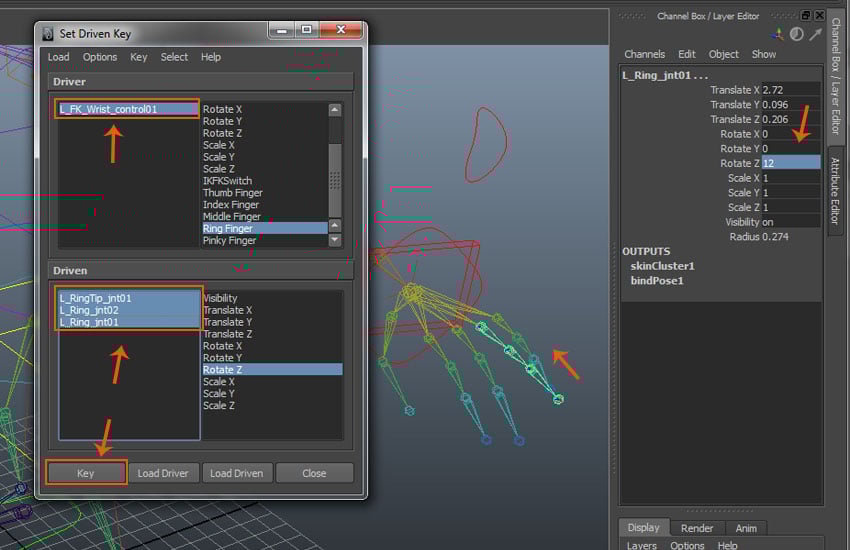 Ring Finger attribute