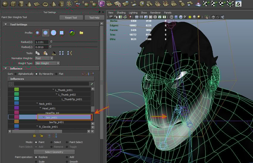 Paint Skin Weight Tool Settings