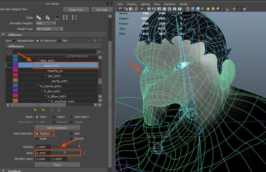 Paint Skin Weight Tool Settings