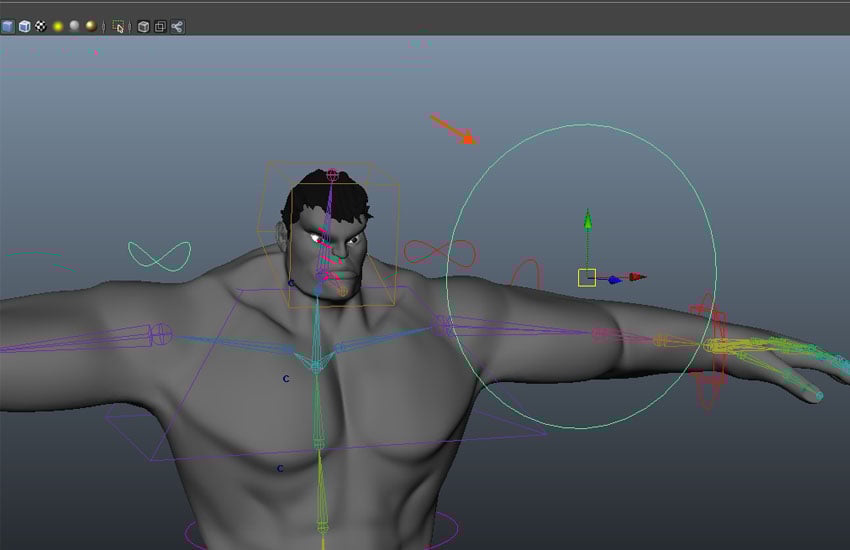 Create a circle curve