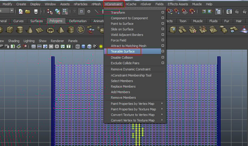  nConstraint  Tearable Surface