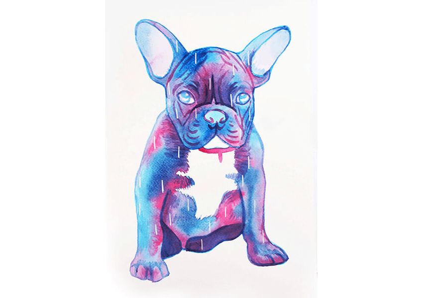 star galaxy dog watercolour gouache