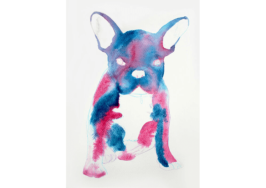 frenchie bulldog galaxy art drawing