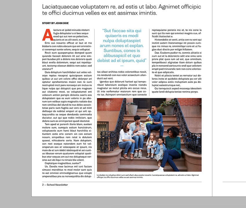 use the line tool to create strokes in between the columns