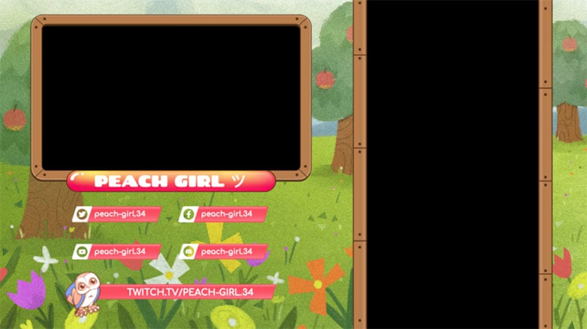 twitch camera overlay