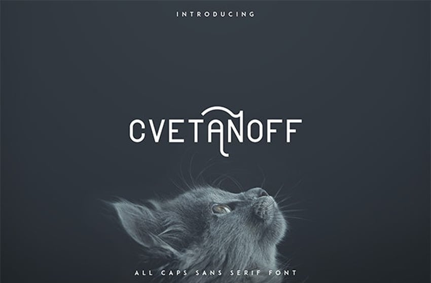 Cvetanoff Cool Modern Fonts