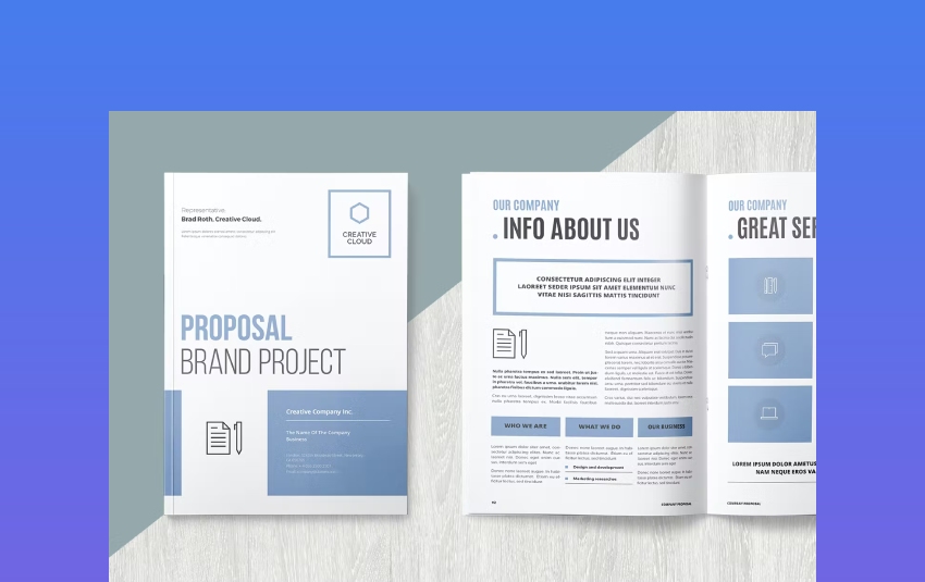 Easy-to-Customize Business Project Proposal
