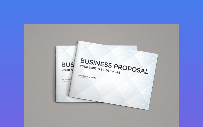 Unique Professional Proposal Example