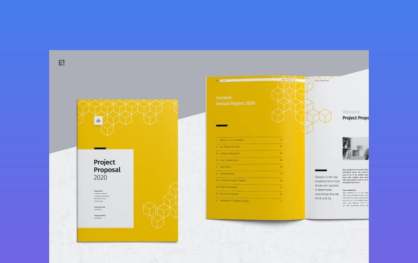 Vibrant Professional Proposal Example