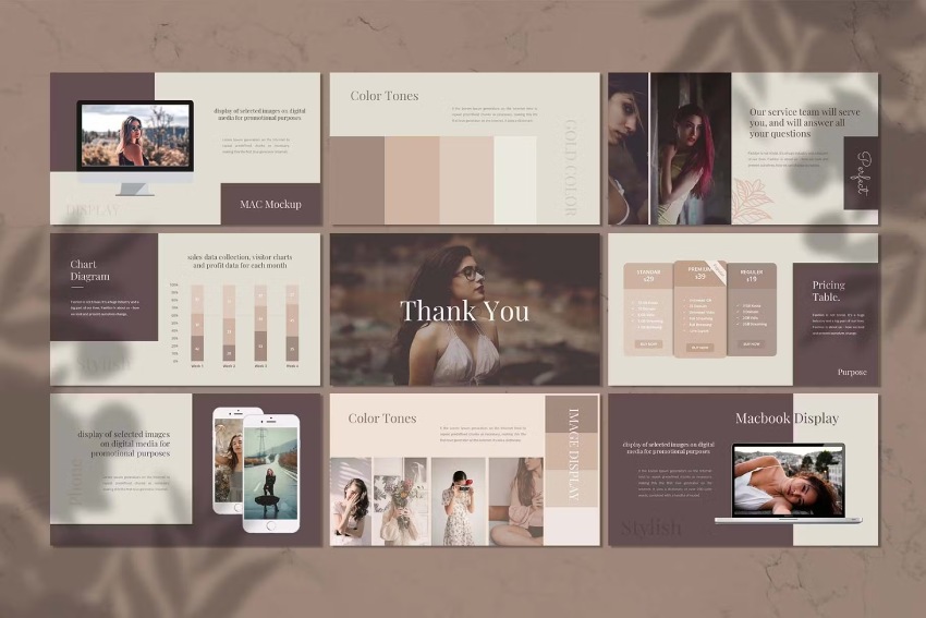 Stylish - Power Point Template