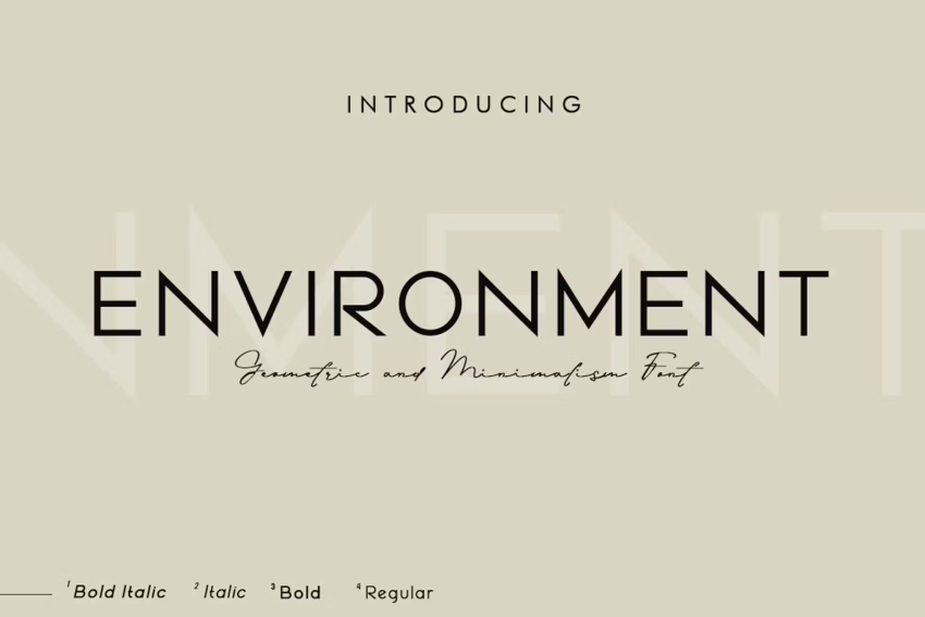 Environment Sans Serif Fonts like Montserrat