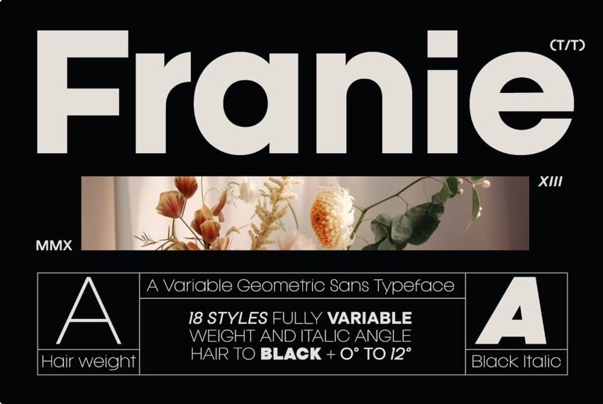 Franie is a geometric sans font that comes with both bold and light versions.