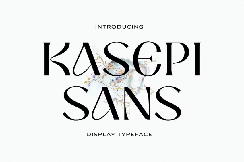 kasepi sans fluid font