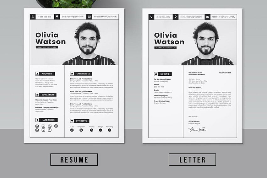 CV Template Google Docs Microsoft Word