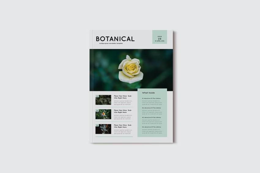 Botanical Newsletter Template