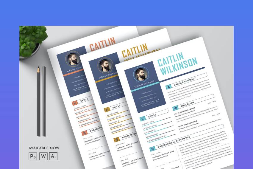 Lebenslaufvorlage Seiten