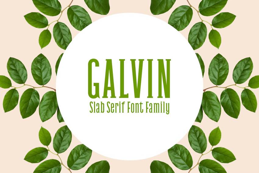 Galvin Slab Serif Font Family Pack