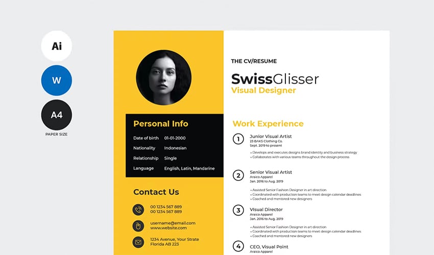 Professional Job Resume