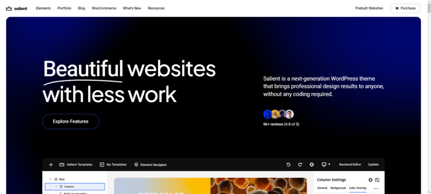 Salient is a beautifully designed WordPress theme