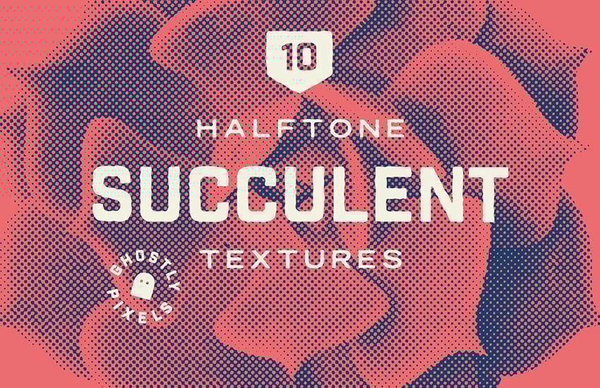Halftone Vector Succulents