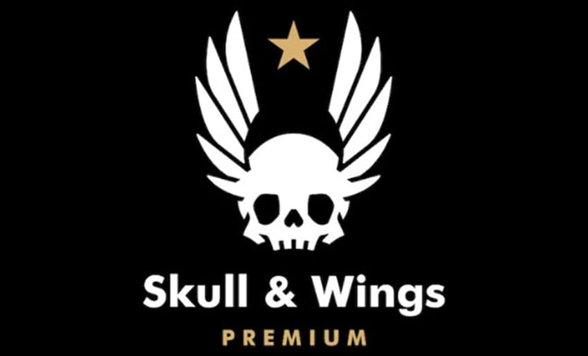 Wings and Skull Logo