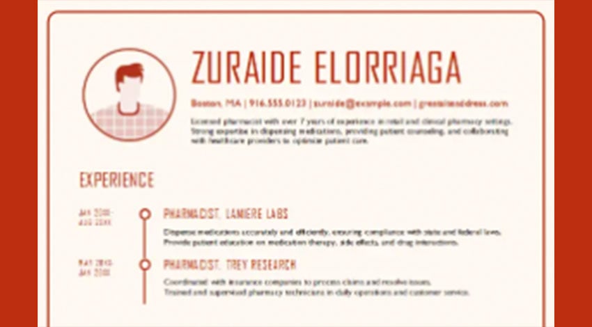 Infographic Free CV Templates for Google Docs