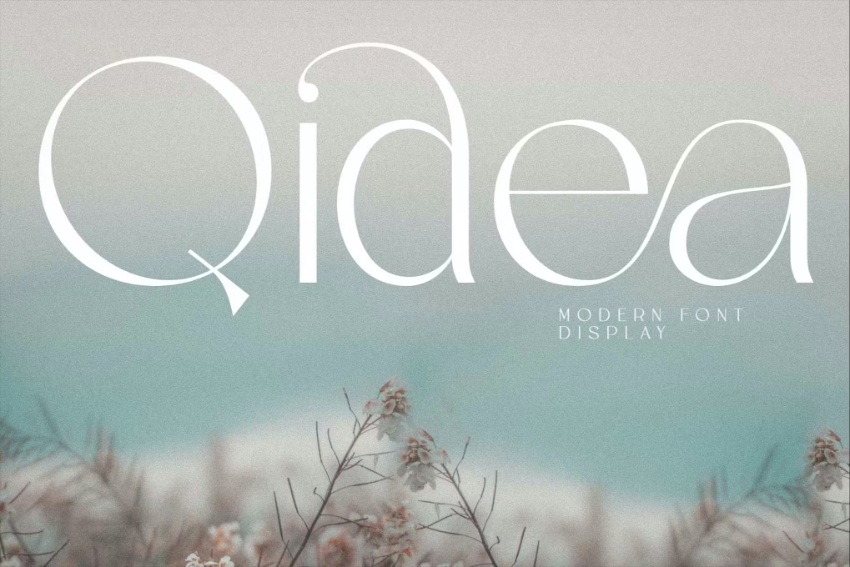 Font trends: Qidea is a serif display font.