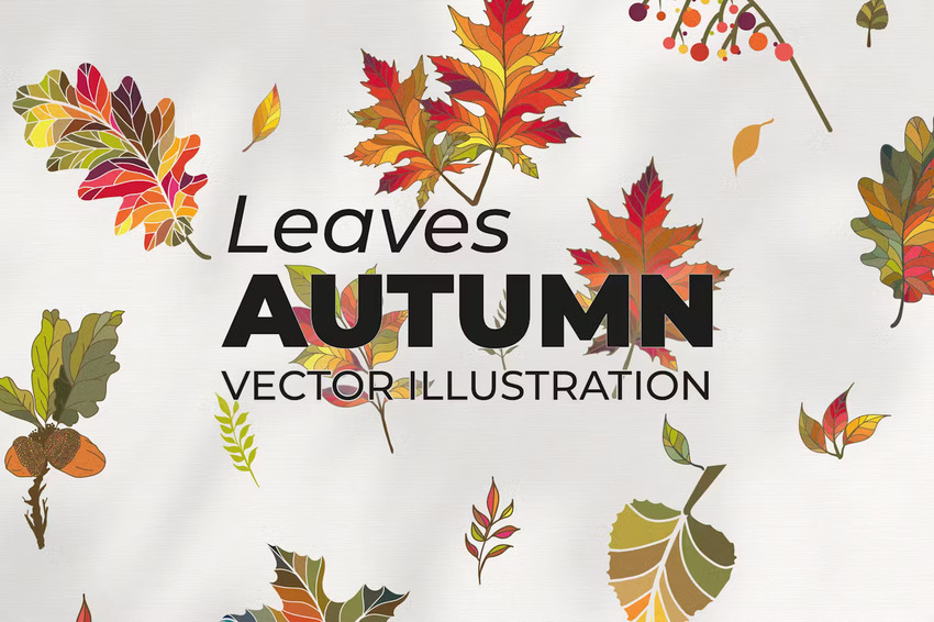 Autumn leaves iIllustrations