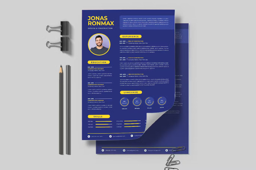 Professional CV Template Infographic