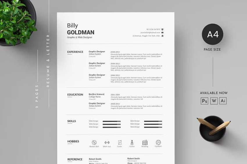 Resume Infographic Template