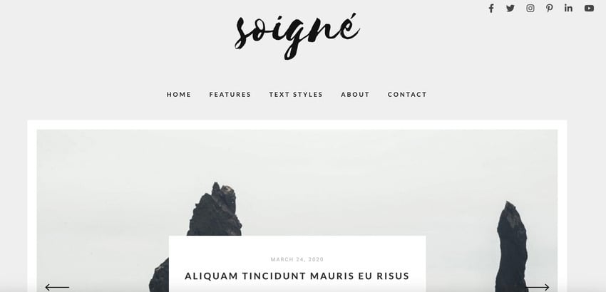 Soigne is a responsive minimal WordPress blog theme