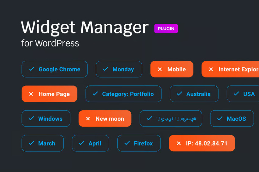 Widget manager for WordPress