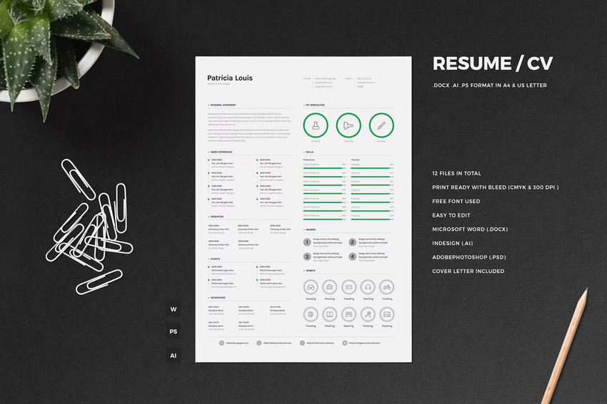 Visual CV resume with icons
