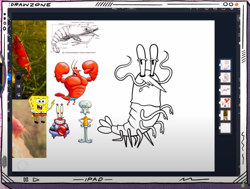 Pet drawing: cleaner sketch of Red the Shrimp.