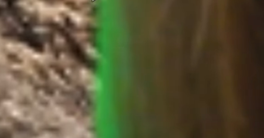 Left Over Remnants Of Edit Visible On Edge Of Top Layer Image