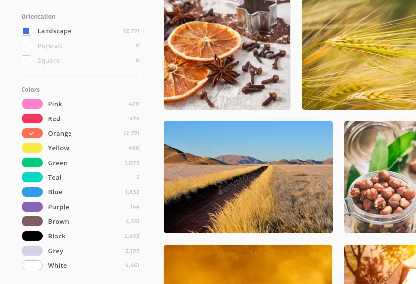 Envato Elements photos can be filtered by color and orientation as well as keywords
