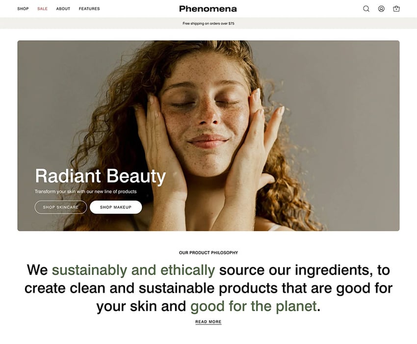 palo alto shopify theme