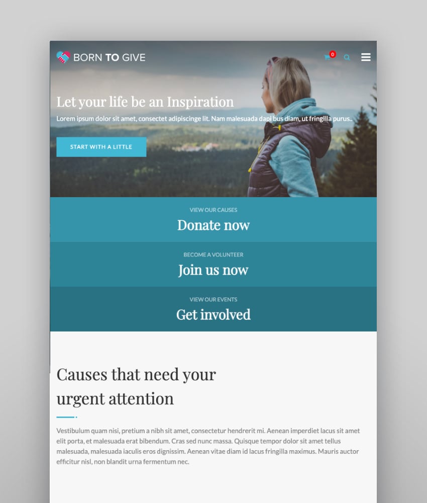 Born To Give—Charity Crowdfunding Responsive WordPress Theme