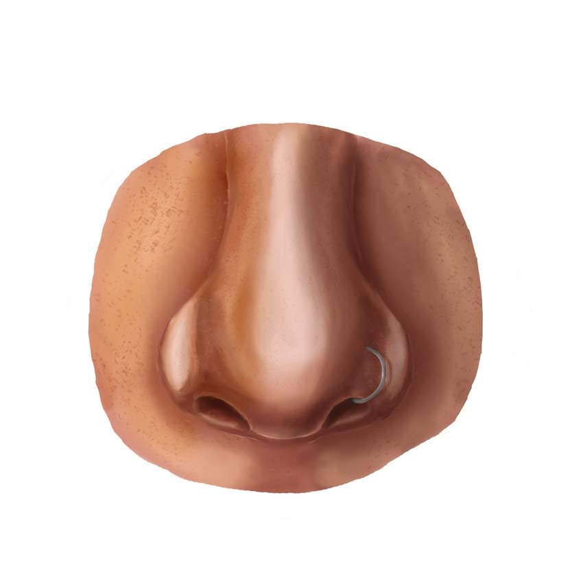 Paint a Realistic Nose in Adobe Photoshop