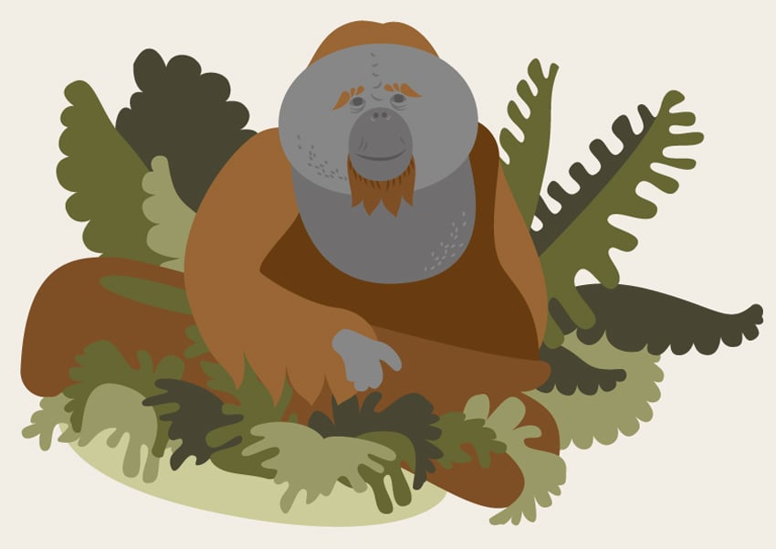 Branding for Aalborg Zoo