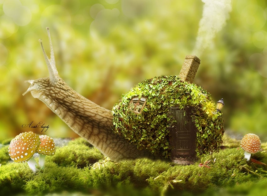 How to Create a Fantasy Snail Photo Manipulation With Adobe Photoshop