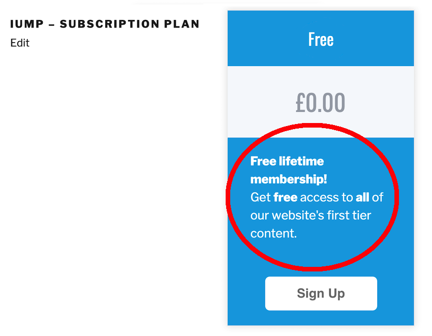 You can provide some sales text which is displayed in the subscription level box