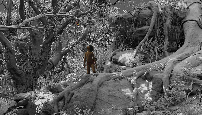 The Jungle Book’s stunning 3D environments blend CGI with photorealistic detail, creating an immersive jungle world. (Image Credit: Disney)