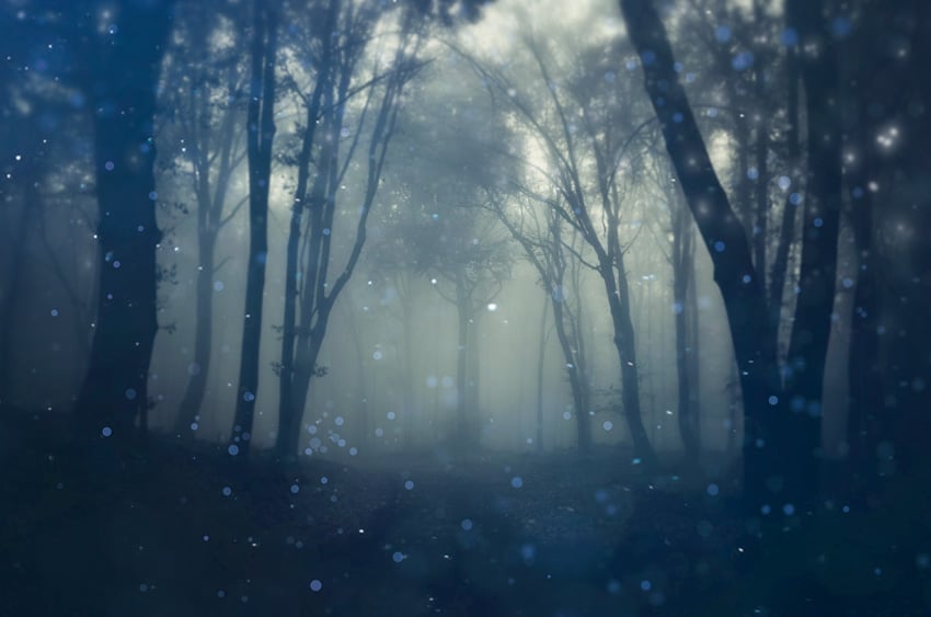 Apply small particles to the photograph