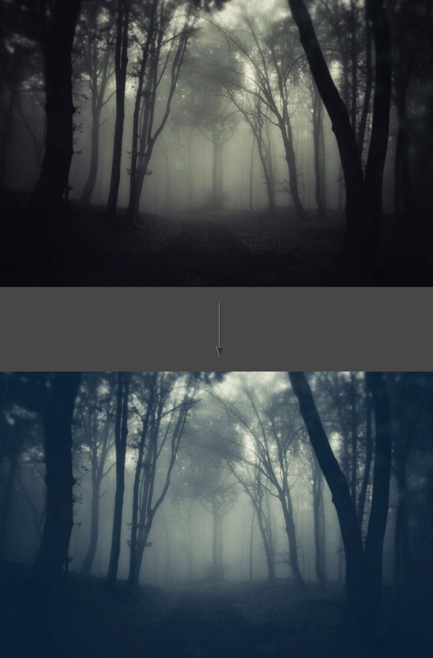 Adjust the color of the photograph